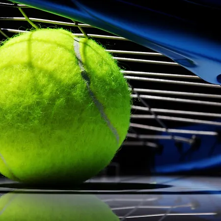 The Danai Никити