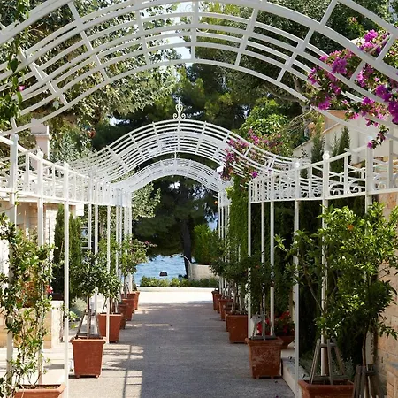 The Danai 5* 니키티