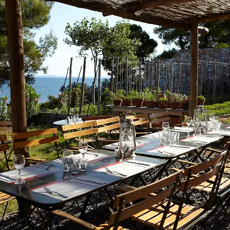 The Danai 5* 니키티